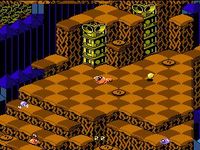 Snake Rattle n Roll sur Nintendo Nes